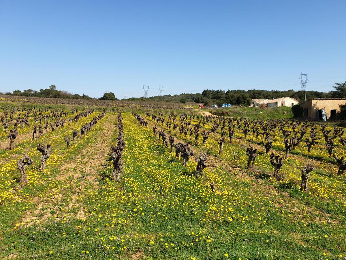 Le Clos Soleilhan Saint-Gervais  エクステリア 写真