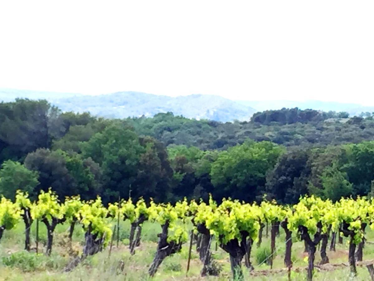 Le Clos Soleilhan Saint-Gervais  エクステリア 写真